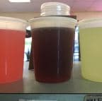 Best Homemade Iced Tea in West Haven, CT